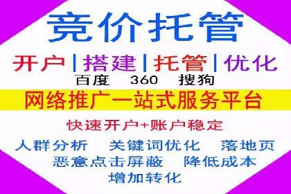 案例研究：SEM竞价托管效果对比